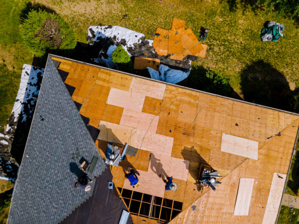 Trusted Seville, FL Roofing Contractor Experts